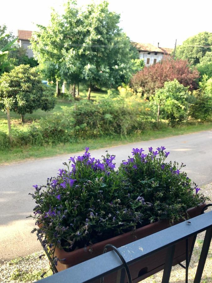 Apartmán Casa Giulia - Valeggio Sul Mincio Exteriér fotografie